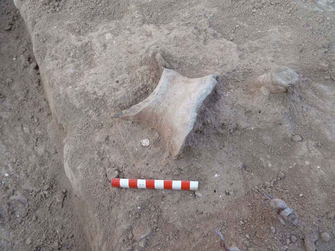 A pottery remnant discovered by archaeologists at Beth-Shemesh, Israel