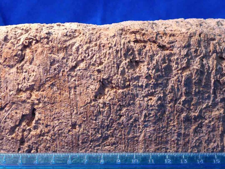 Ancient Mudbrick Give Clues to Understanding the Bible | Patterns of ...