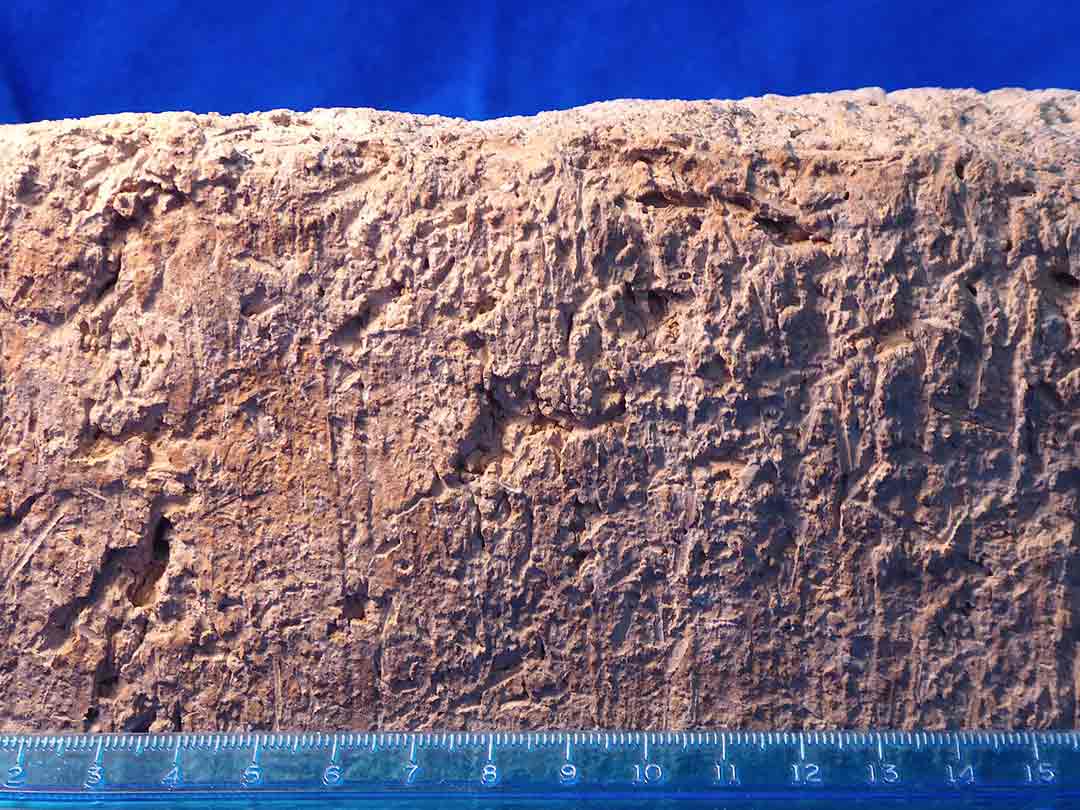 Archaeologists inspect vertical ridges on the sides of a brick