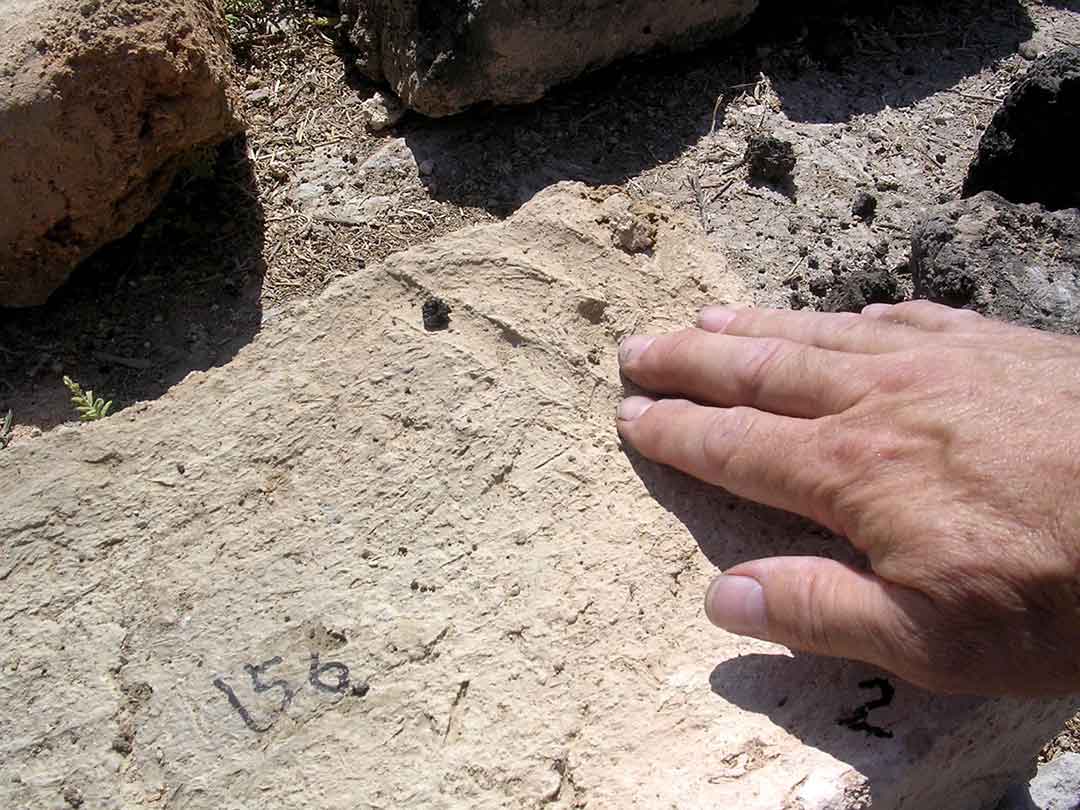 Inspecting mason marks left on bricks from Tel Beth-Shemesh west of Jerusalem 