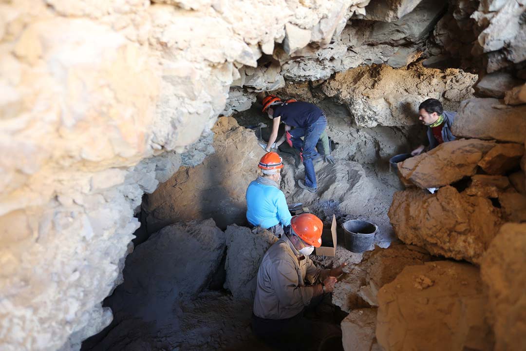 Archaeological discovery at Cave 53